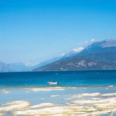 ag真人平台官方下载手机版